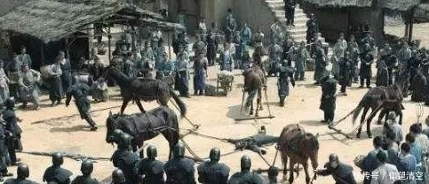 变法|假如秦王不杀变法重臣商鞅，秦国变法毫无意义，甚至加速灭亡