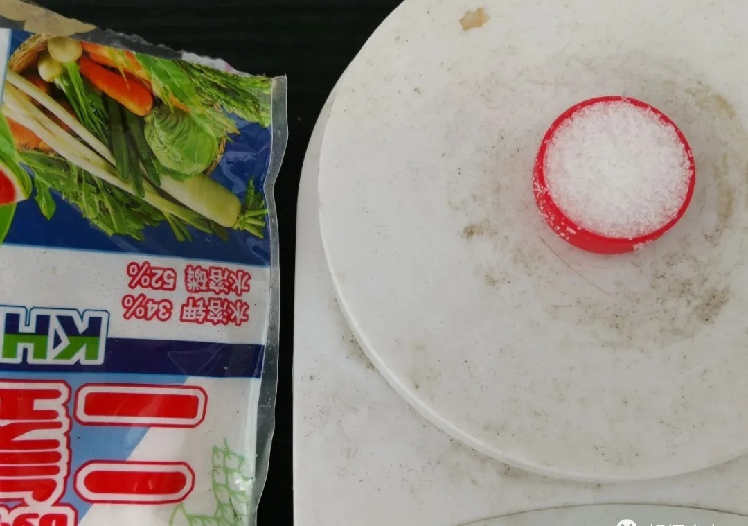 叶片|养兰花如何用好磷酸二氢钾,这几个小妙招,非常实用