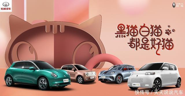  欧拉|欧拉X傻白：与传统作对，敢破局，为新生