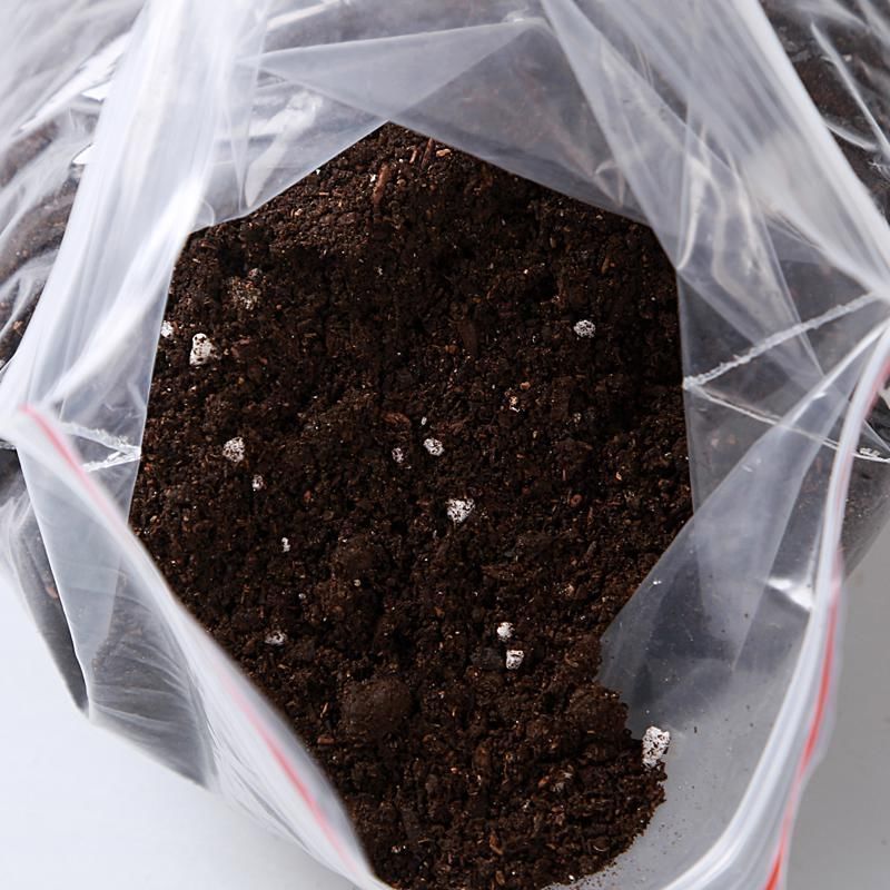 养花的“旧土”这样处理,秒变新的营养土,养啥都旺!