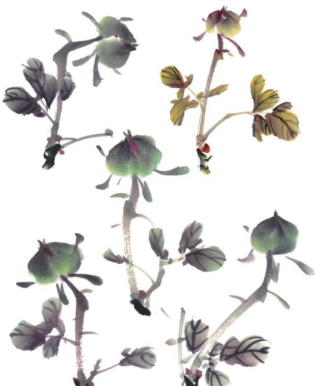  形态|紫、红牡丹花头写意画法与形态参考