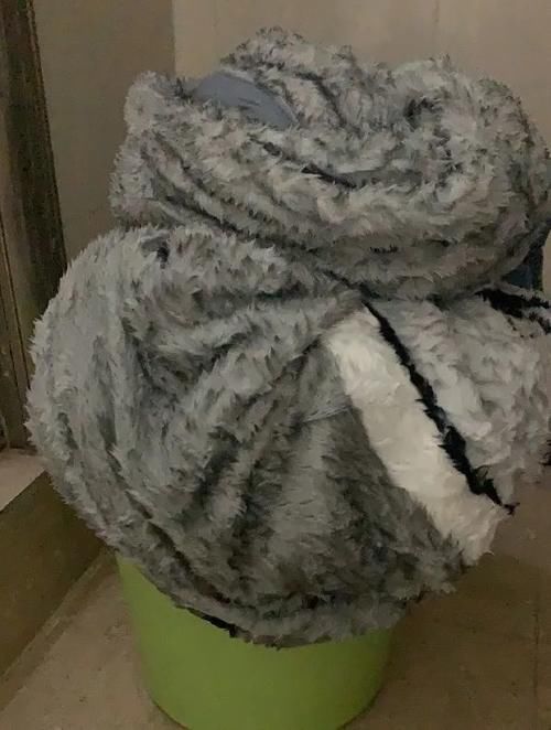  毛毯|听说，你家里也有一床没咋洗过的花毛毯？