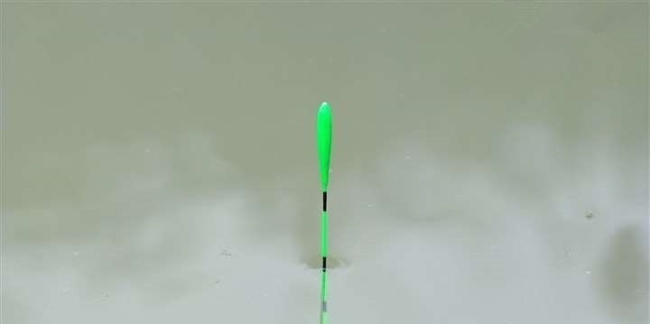 为什么说野钓就要钓钝,这几个原因告诉你,钓钝到底有多实用