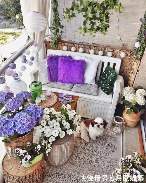 花盆|这样的阳台,那院子我也不换,美得太过分,今生只做个闲人了!