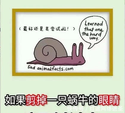 蚊子|你不知道的冷知识:第一个细思极恐,第五个一般人做不到!