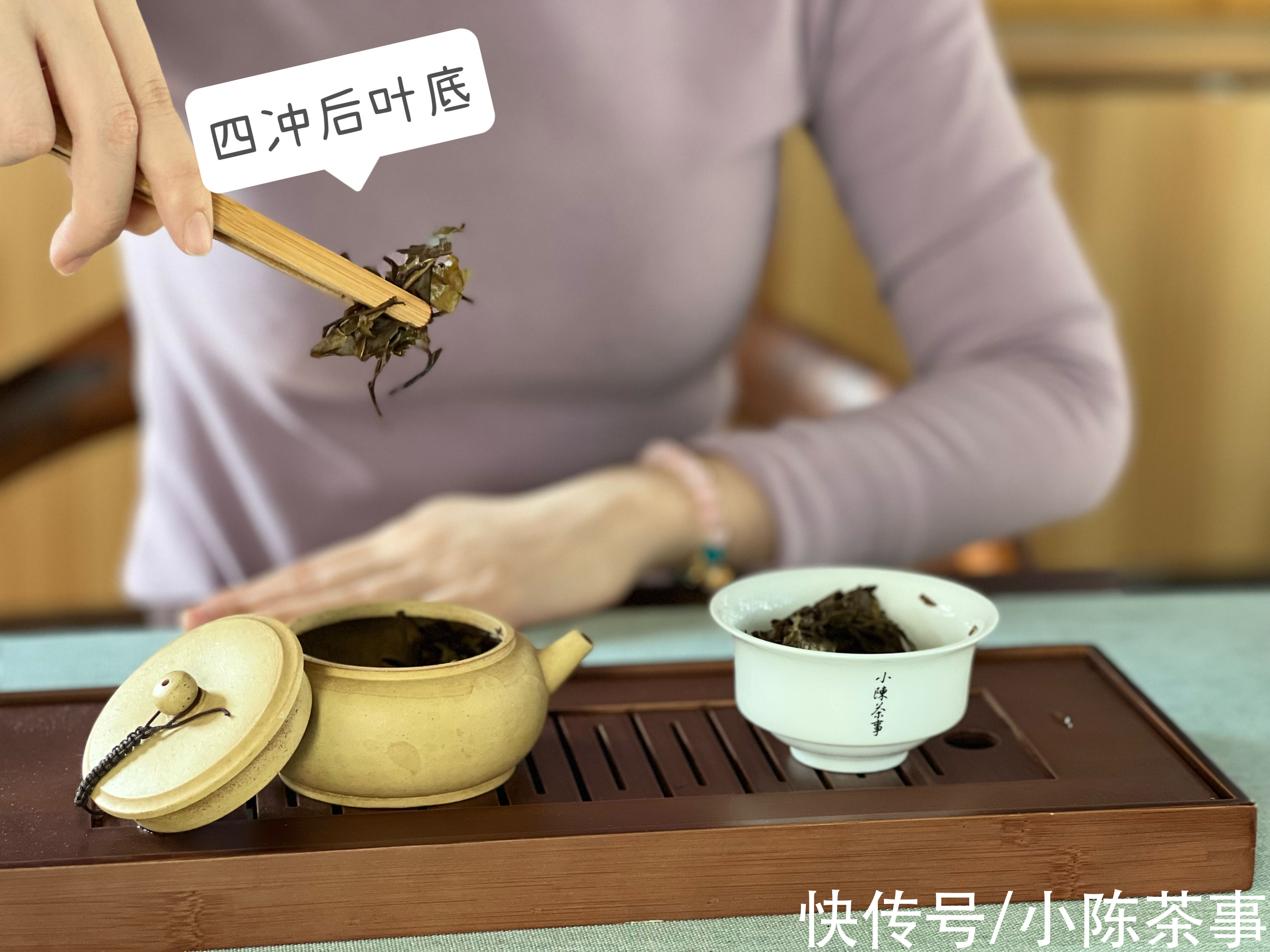 竹叶香#泡老白茶，紫砂壶与盖碗哪个更好用？村姑陈对比测评，告诉你答案