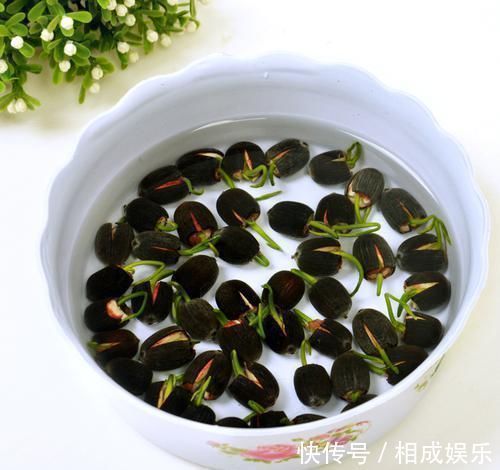 发财树|怪不得老公把发财树扔了,现阳台流行种此花卉,香飘满屋更迷人