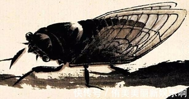 翅膀#齐白石晚年画了一只“蝉”,为何价值8亿?放大50倍就能明白