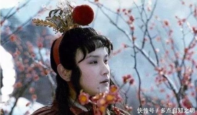 远祖|曹雪芹远祖宋朝济阳郡王曹彬,他在红楼梦里是怎样的存在?