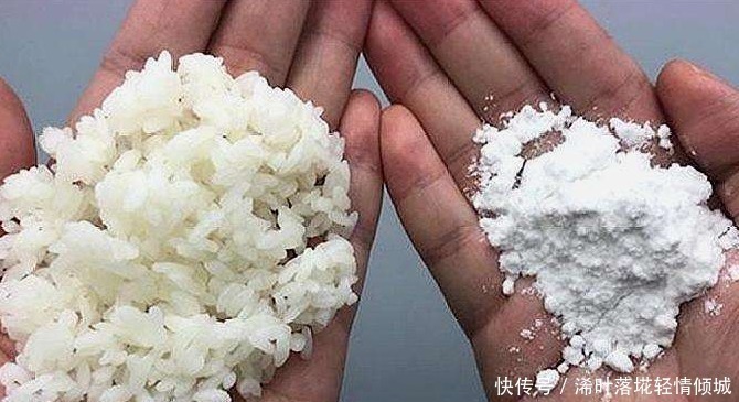 植物|”3种“生活垃圾不要扔,拿来养花,比花肥效果好,不花一分钱