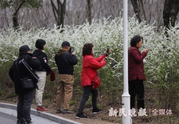 三月春风百花开