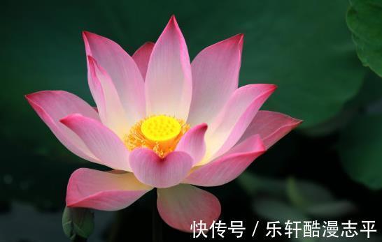 9月上旬，4属相运势红火，桃花旺盛，喜事接二连三