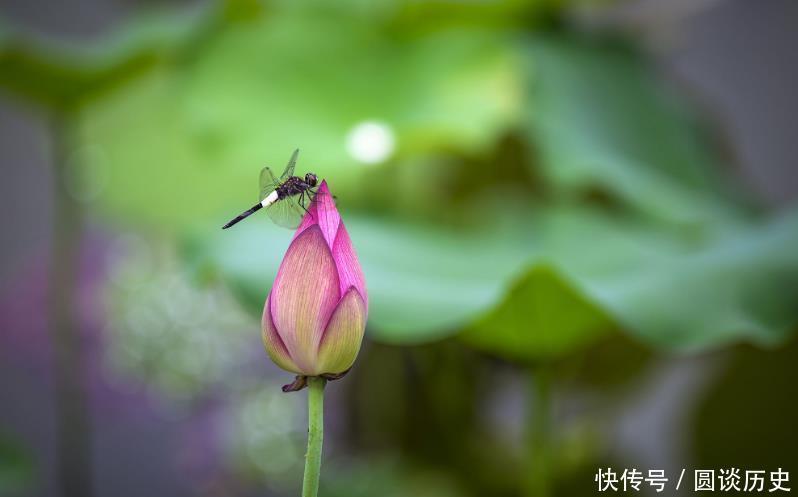 绝美|一位65岁老诗人遇见两个调皮的孩子,悟出一首绝美之作,入选课本