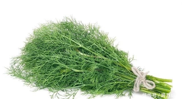 营养价值|高血压的“克星”被医生发现,每天吃一点,血压乖乖往下降!