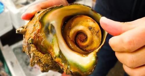 估计|日本最重口味的美食,龙之泪,看完成品,估计没几人敢吃