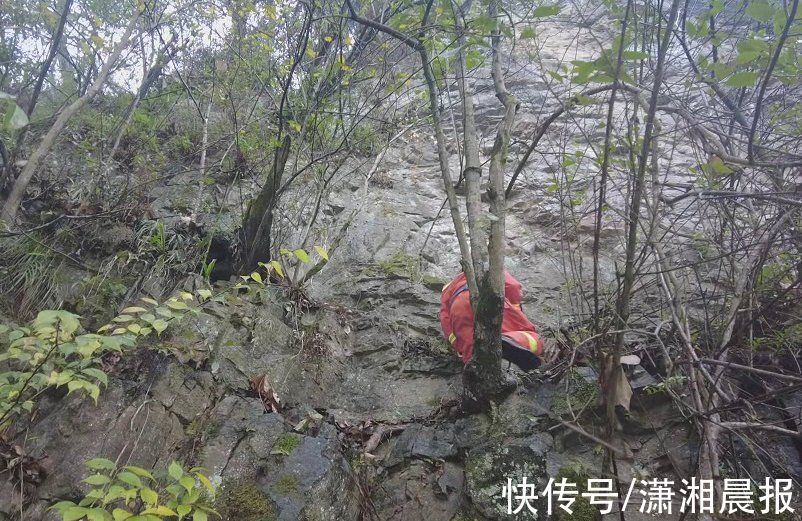 张沁|吉首一男子为抄近路摔落悬崖被困，消防冒雨及时解救