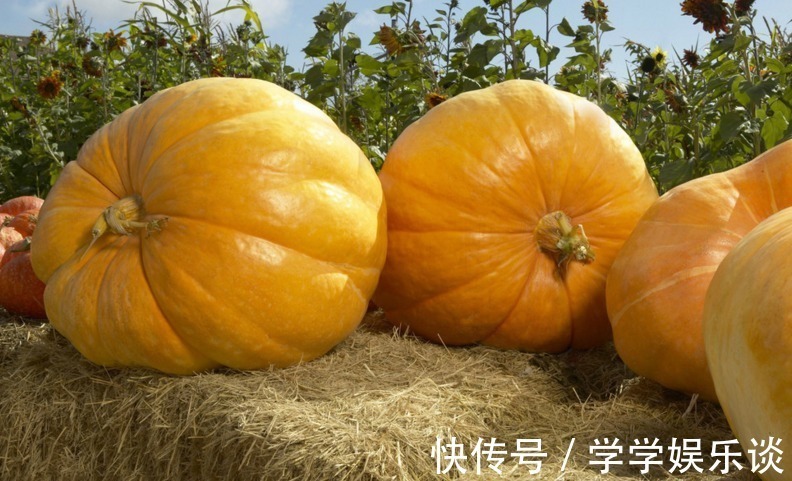 南瓜|南瓜和此物一起配,孩子吃了猛长个,抵抗力强了,大脑更聪明了