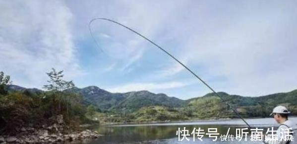 鱼儿|自从有了这鲫鱼钓技钓法以及鱼饵小药秘诀,天气再冷也能狂拉不断