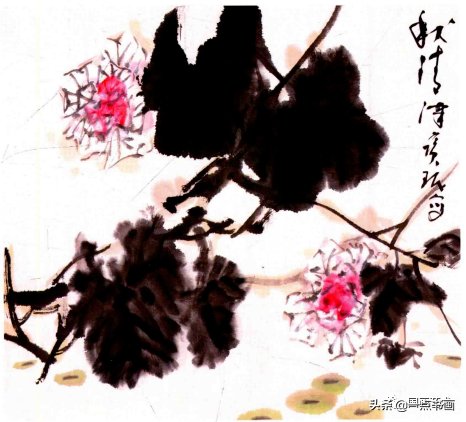 叶子$写意芙蓉花画法解析