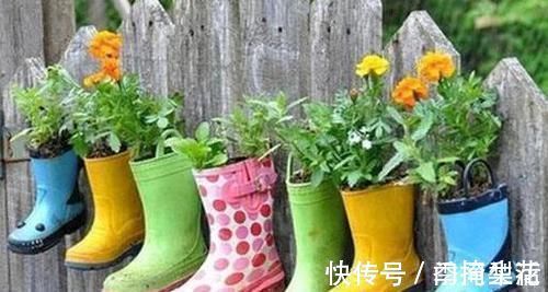 花盆|除了花盆之外,这些东西也是绝佳的养花神器,你用过吗?