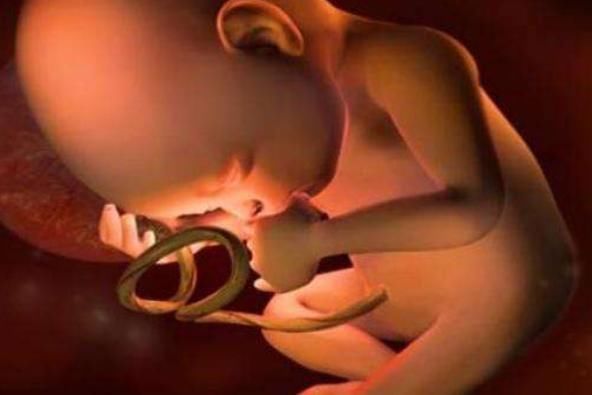 胎宝待在妈妈肚子里10个月，但只在这3周发育智力，孕妈别错过