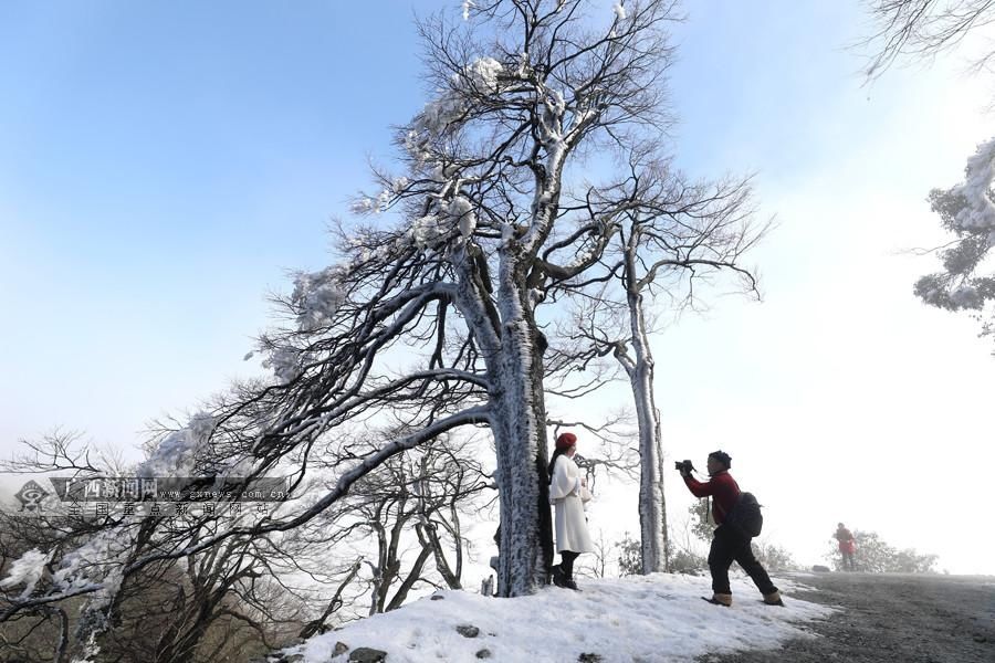 族自治县|广西三江银装素裹景美如画