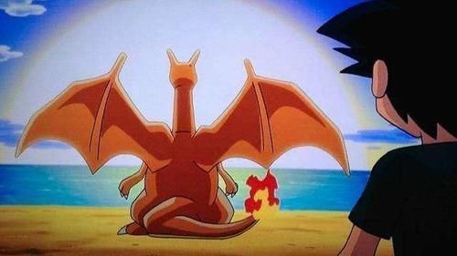 进化成|这些宝可梦曾被狠心抛弃,但在小智的栽培下成为了绝对的主力