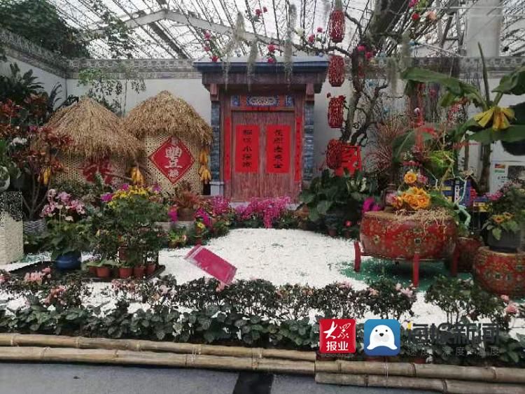 烟台哪里有中国花卉苗木行业电话是多少 中国花卉苗木行业