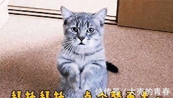 大学生|大学生半夜生孩子,送医院发现还是二胎,宿友愣了