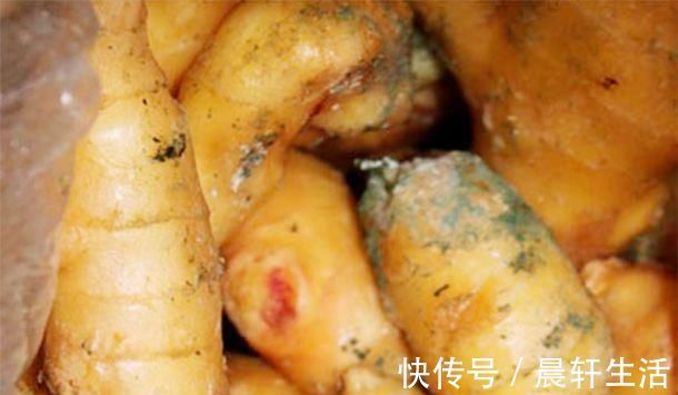 热姜茶|常吃生姜“养生长寿”,6大好处不请自来,但有一种生姜千万别吃