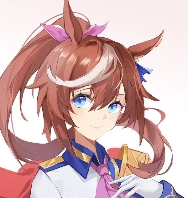 鲁道夫|怎么评价《赛马娘》东海帝王:纵然三度迎来落日,但依然阳光