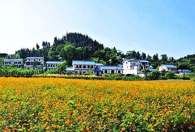 打工|农民该不该去城里买房子?