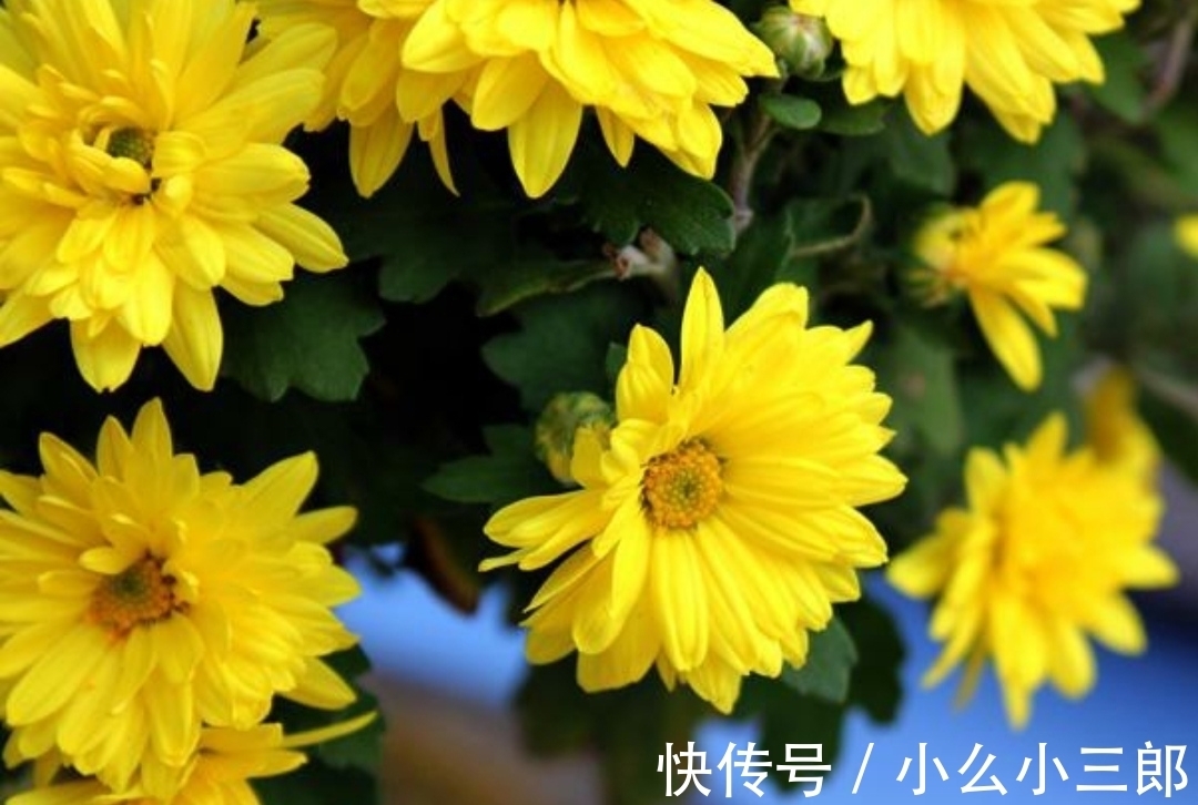 别元九后咏所怀!白居易怀念友情的一首诗,令人感觉无知音的日子是那么失落难过