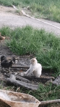 |搞笑GIF:坐电梯遇到的仙女,她看我的眼神好怪哦