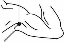 神门穴|都说夏季养“心”很重要，到底该怎么养？