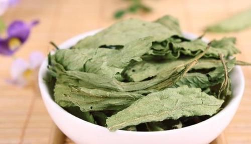 清热解毒|蒲公英泡水喝,解毒杀菌护肝,如果能再加“一宝”,保健功效翻倍