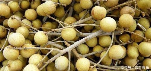 替代品|安眠药“替代品”现身,泡水敞开喝,静心安神,沾床就睡不失眠