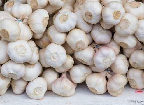 发芽|吃不完的大蒜难保存?教你一个简单实用小窍门,放到过年也不发芽