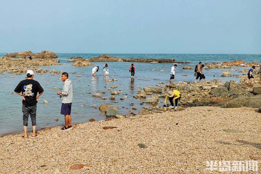 风光|麦岛风光好 观海莫忘潮