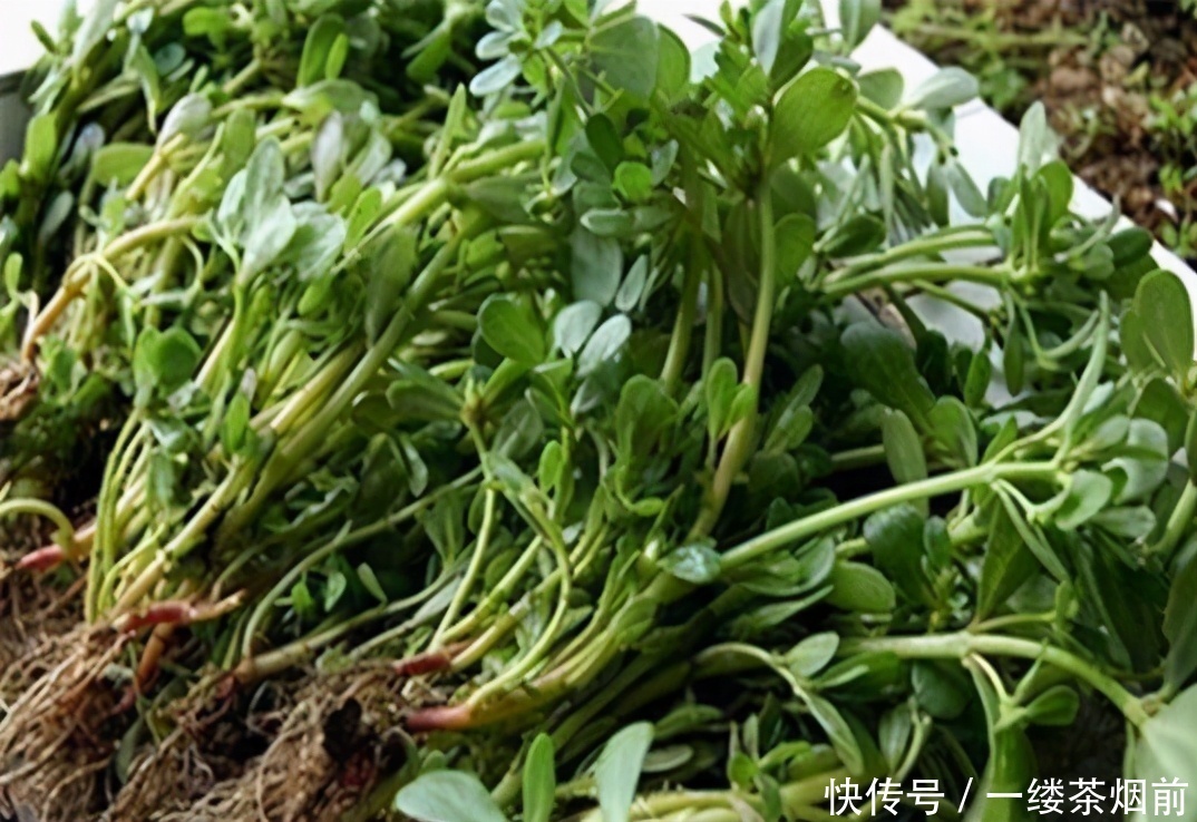  抗衰|女性不想长皱纹，3种蔬果换着吃，排毒养颜，美容抗衰，好处多