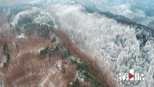 色彩|初雪山王坪：南国林海雪原 四季色彩同聚一山