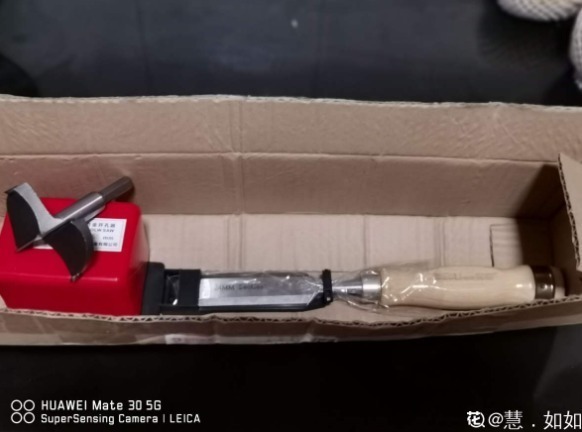 diy|别人不要的烂木桩,我捡回家种多肉,价值翻了20倍!