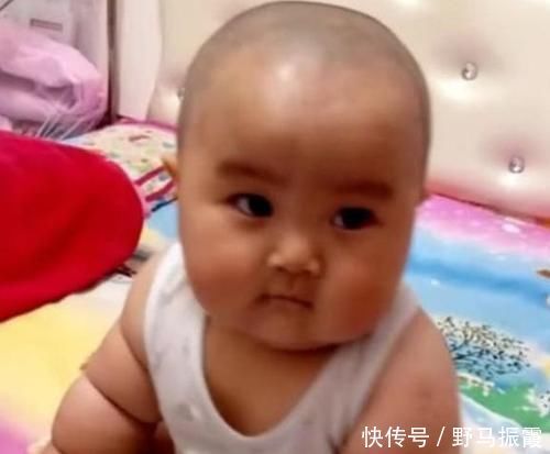 宝宝|“最萌宝宝”走红,看到宝宝胳膊那一刻,网友:这不是米其林吗?