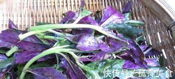 食用量|农村一种野菜，古人称为“补血菜”，食用超千年，现在被认为有毒