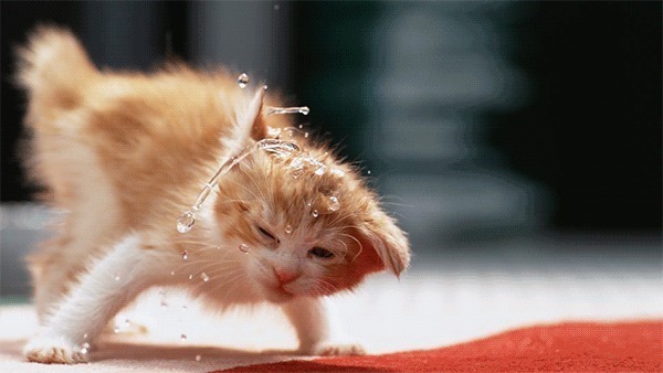 动作|健身训练时,放慢动作有什么好处3个益处会找上你