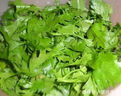 叶子|此物全身都是宝,尤其是叶子,拿来泡水喝,清理血管毒素,助睡眠