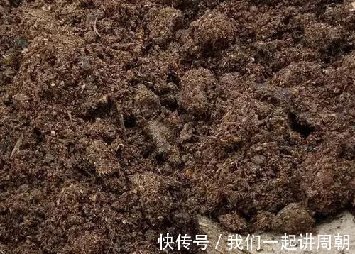 土壤|老花匠才知道的“养花催花利器”：家畜内脏、鱼鳞！
