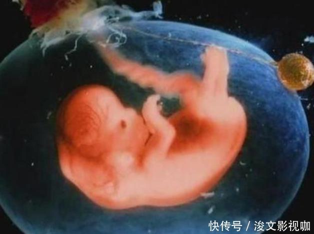 胎儿|孕期做到“4不碰”,有利于保持羊水“清澈”,胎儿住着更干净