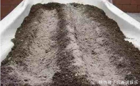 用以下食物养花,撒一把根壮叶绿蹭蹭疯长,一年到头不生虫