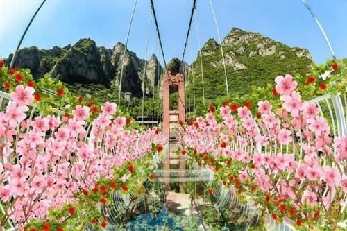 三月桃花始盛开！神农山首届花仙节开幕